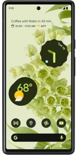 Google Pixel 6 Front View